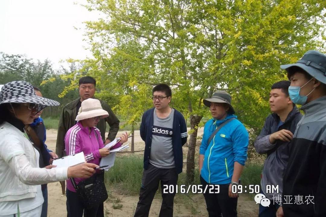 博亞惠農：資產(chǎn)核查工作已經(jīng)鋪開(kāi)
