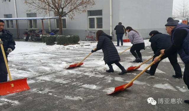 瑞雪兆豐年 勞動(dòng)最快樂(lè )——公司組織員工開(kāi)展掃